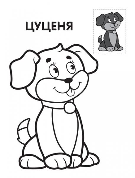 Наклей та розфарбуй. Перші розмальовки малюка. Їжачок - Pampik - 2