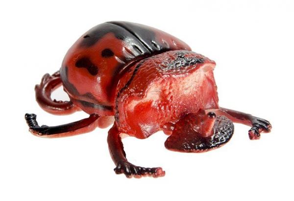 Набір фігурок в тубусі Wing Crown Комахи і рептилії (T33706) - Pampik - 5