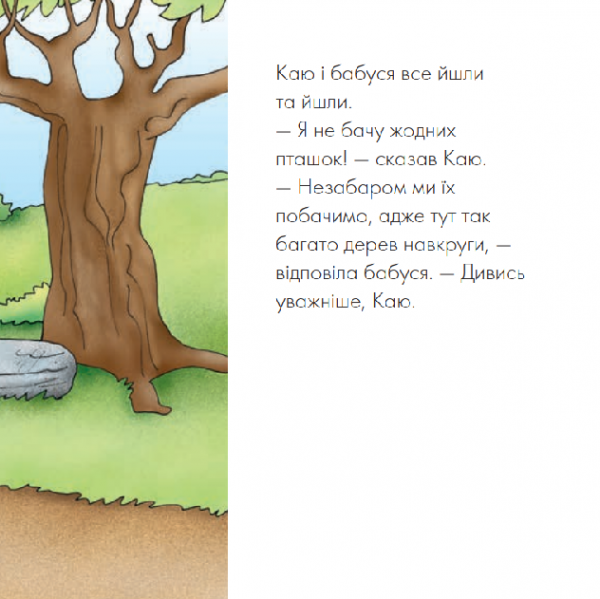 Каю спостерігає за пташками. Мої історії - Франсін Аллен - Pampik - 5