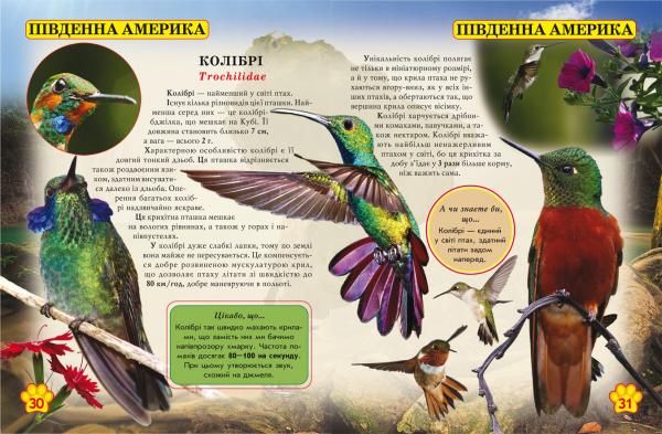 Фотоенциклопедія. Світ навколо нас. Дикі тварини (F00020861) - Pampik - 3