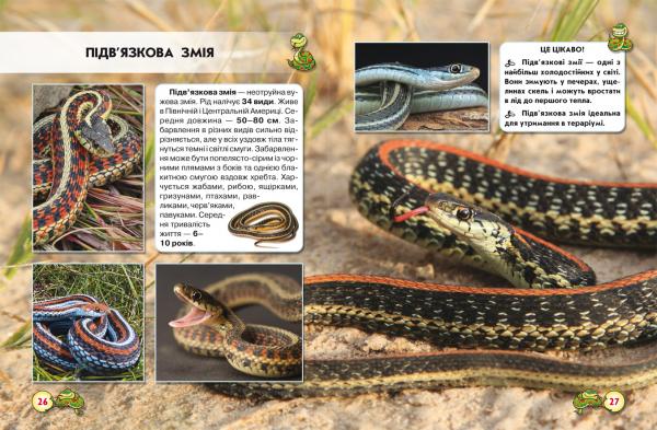 Фотоенциклопедія. Світ навколо нас. Змії (F00020898) - Pampik - 2