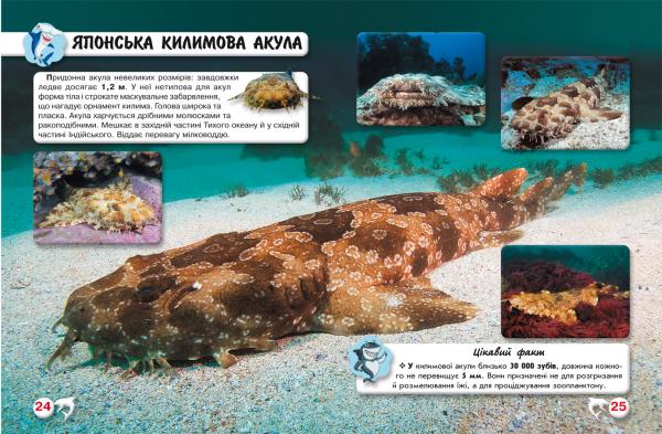 Фотоенциклопедія. Світ навколо нас. Акули (F00020894) - Pampik - 2