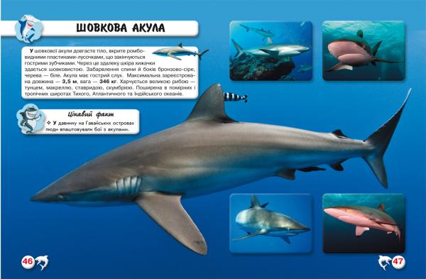 Фотоенциклопедія. Світ навколо нас. Акули (F00020894) - Pampik - 3