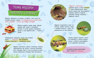 Почимучики. Насекомые - Булгакова К. - Pampik - 2