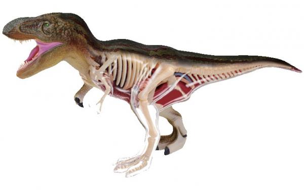 3D Пазл 4D Master Динозавр Тиранозавр, 36 елементів (26092) - Pampik - 3