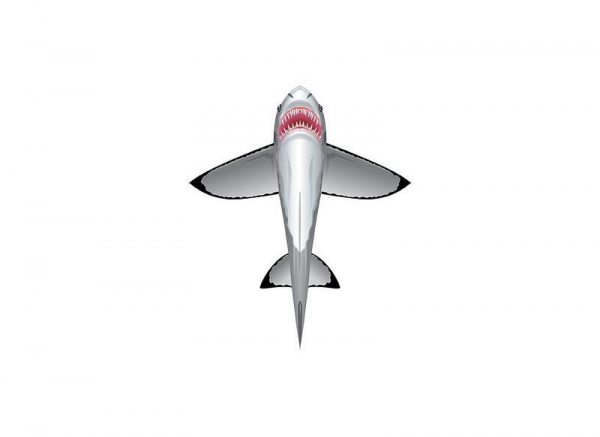 Воздушный змей WindnSun Акула (70902) - Pampik