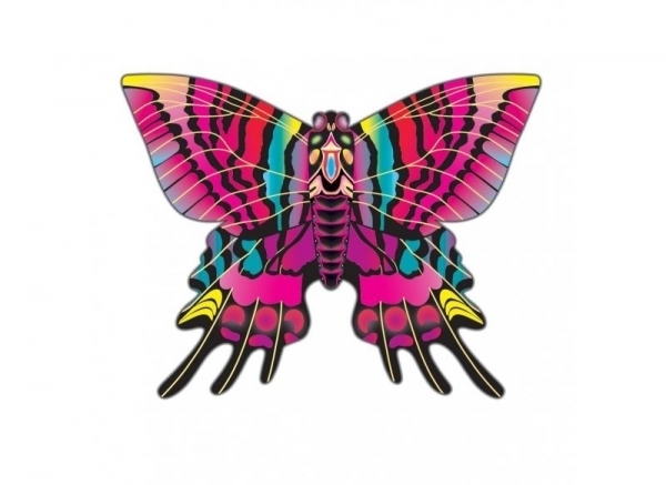 Воздушный змей WindnSun Бабочка Пикси (80523) - Pampik