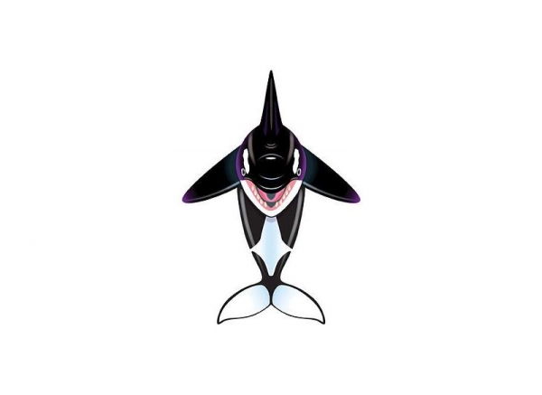 Повітряний змій WindnSun Косатка (70905) - Pampik