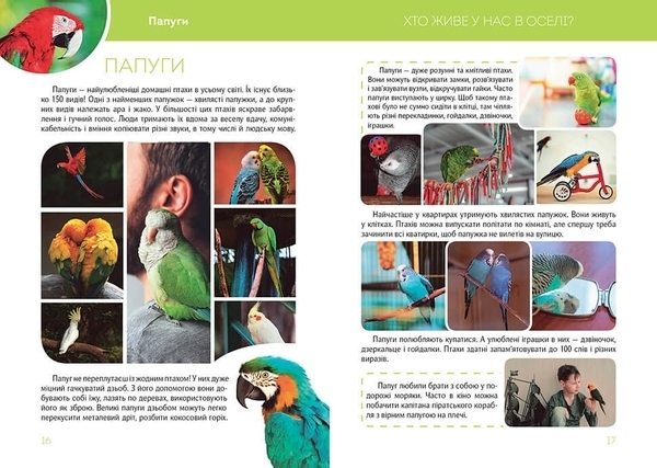 Велика книга про тварин - Борзова В.В. - Pampik - 3