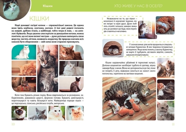 Велика книга про тварин - Борзова В.В. - Pampik - 2