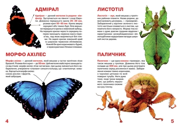 Велика книжка. Комахи (F00015511) - Pampik - 3