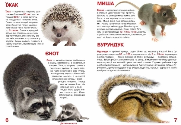 Велика книжка. Дикі тварини (F00013020) - Pampik - 3