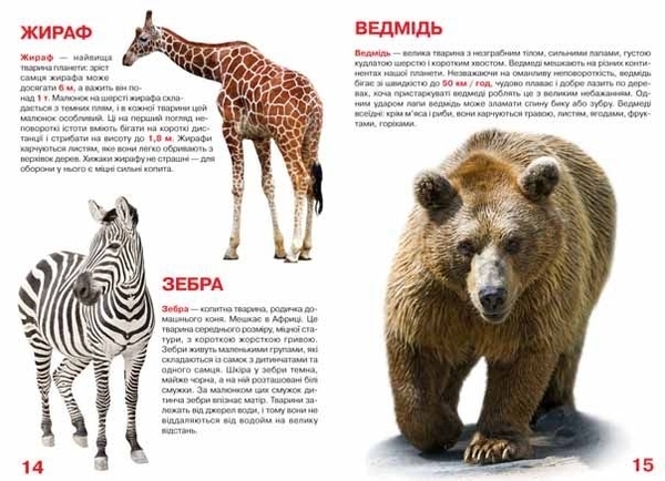 Велика книжка. Дикі тварини (F00013020) - Pampik - 2