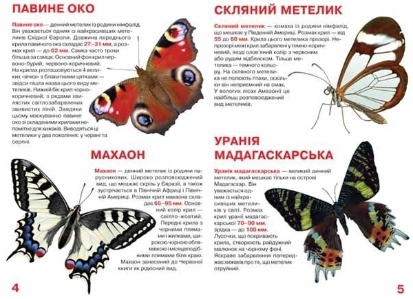 Велика книжка. Метелики (F00019393) - Pampik - 2