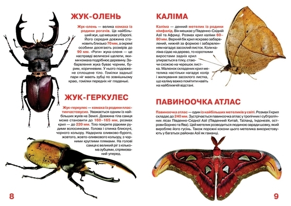 Велика книжка. Комахи (F00015511) - Pampik - 2