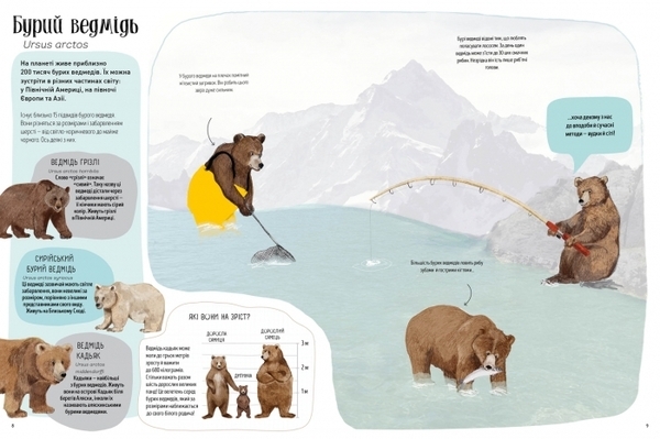 Ведмежа. Книга - Кейті Віґґерс - Pampik - 2