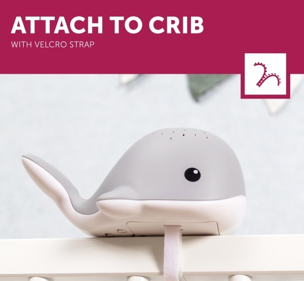 Музыкальный ночник-проектор Zazu Wally Кит, розовый (ZA-WALLY-03) - Pampik - 3