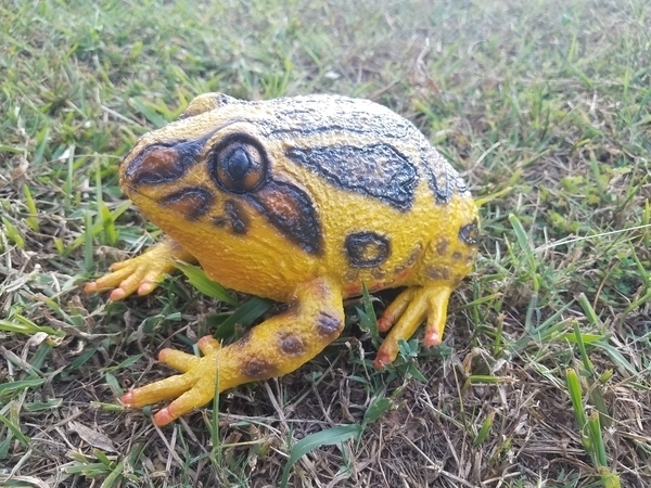 Фігурка Lanka Novelties Жаба піщана, 21 см (21571) - Pampik - 3