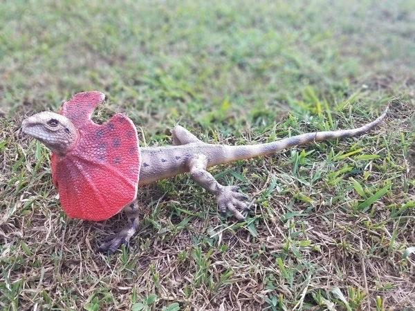 Фигурка Lanka Novelties Ящерица плащеносная, 55 см (21550) - Pampik - 3