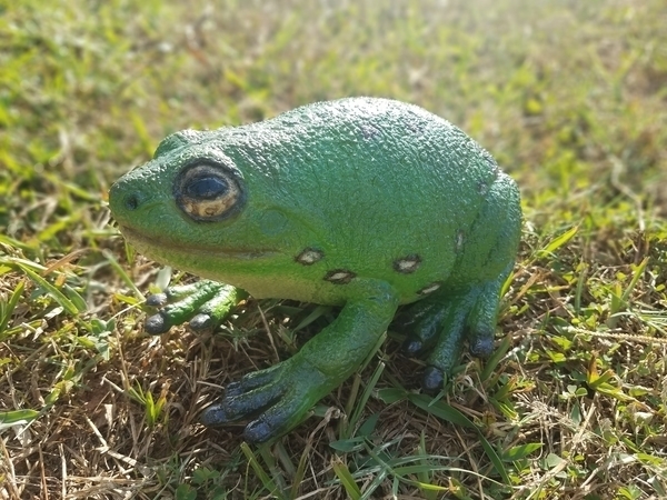 Фігурка Lanka Novelties Жаба зелена деревна, 22 см (21554) - Pampik - 3