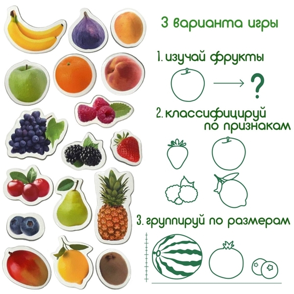 Магнитный набор Magdum Magnetic set Fruits and berries (ML4031-11 EN) - Pampik - 4