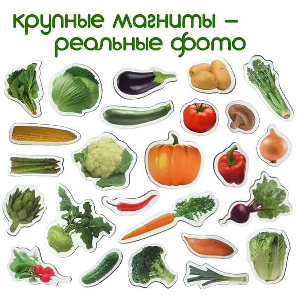 Магнітний набір Magdum Magnetic set Vegetables (ML4031-12 EN) - Pampik - 2