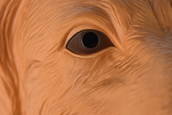 М'яка іграшка Same Toy Собака Лабрадор (X307Ut) - Pampik - 5