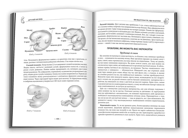 Ваша беременность: практическое руководство от зачатия до рождения, обновления издания - Уильям Сирс, Марта Сирс - Pampik - 4