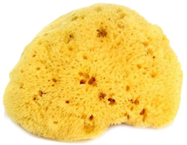 

Натуральная губка для ванны OK Baby Honeycomb sea sponge, р.14, желтый (38471400