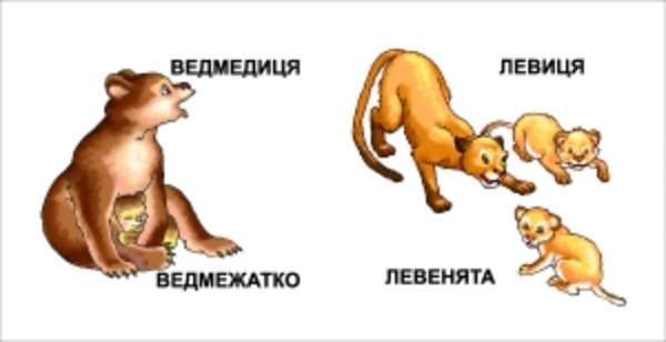 Мами та малюки - Pampik - 2