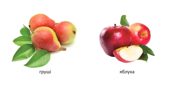 Карамелька. Що росте в саду? - Лілія Гуменна - Pampik - 4