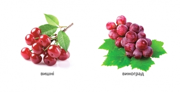 Карамелька. Що росте в саду? - Лілія Гуменна - Pampik - 7