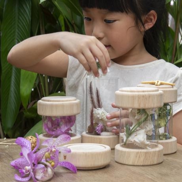 Набір Guidecraft Natural Play Скарби в баночках, прозорий, 8 шт. (G3086) - Pampik - 9