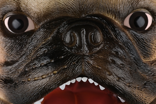 М'яка іграшка Same Toy Собака Бульдог (X321UT) - Pampik - 4