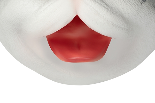 М'яка іграшка Same Toy Кіт, сірий (X336UT) - Pampik - 6