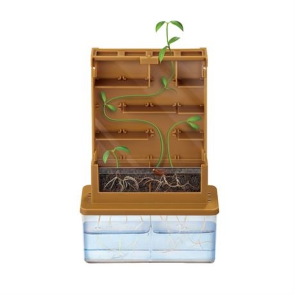 Набір для досліджень 4M Рослинний лабіринт (00-03352) - Pampik - 3