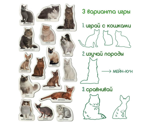 Магнітний набір Magdum Magnetic set Breeds of cats (ML4031-13 EN) - Pampik - 3