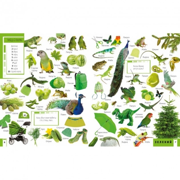 500 перших слів Вивчаємо кольори розвиваємо увагу - Жученко М.С. - Pampik - 2