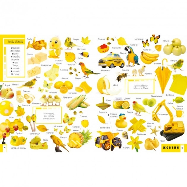 500 перших слів Вивчаємо кольори розвиваємо увагу - Жученко М.С. - Pampik - 3