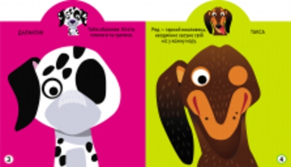 Грайка-розвивайка. Песики. 57 великих наліпок (F00024846) - Pampik - 3