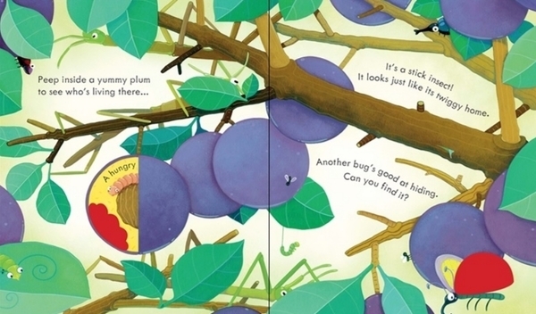 Детская книга Usborne Внутри дома насекомых, англ. язык - Анна Милбурн - Pampik - 4