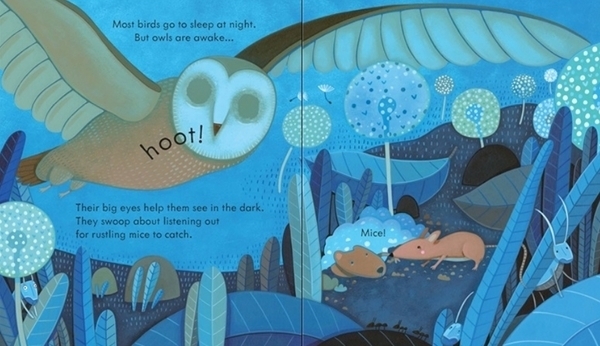 Детская книга Usborne Ночное время, англ. язык - Анна Милбурн - Pampik - 3