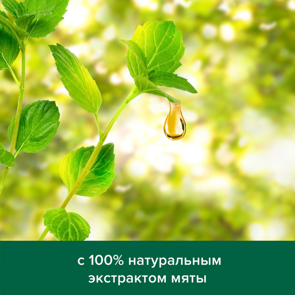 Шампунь Palmolive Men От перхоти и выпадения волос Мята, 380 мл - Pampik - 5