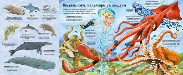 Велика книга морських мешканців - Мінна Лейсі - Pampik - 2