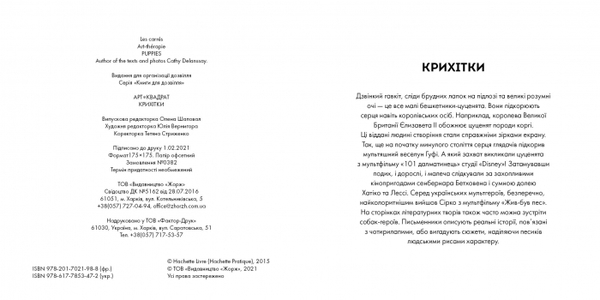 Розфарбовка. Арт-квадрат. Крихітки. Кеті Делансі - Pampik - 2