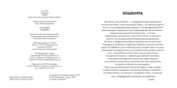 Розфарбовка. Арт-квадрат. Кошенята. Флоранс Деллер - Pampik - 2