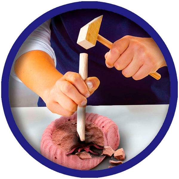 Набір Дослідник, розкопки скам'янілих комах (25066S) - Pampik - 3