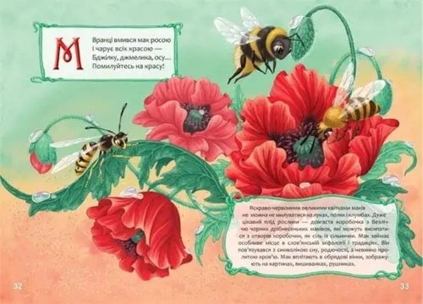 Квіткова абетка - Верховень В.М., Яковенко - Pampik - 4