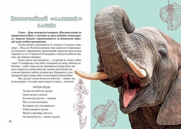 Вусохвості й лапокрилі. Читанка про тварин - Верховень В.М. - Pampik - 4