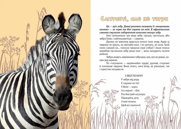 Вусохвості й лапокрилі. Читанка про тварин - Верховень В.М. - Pampik - 3